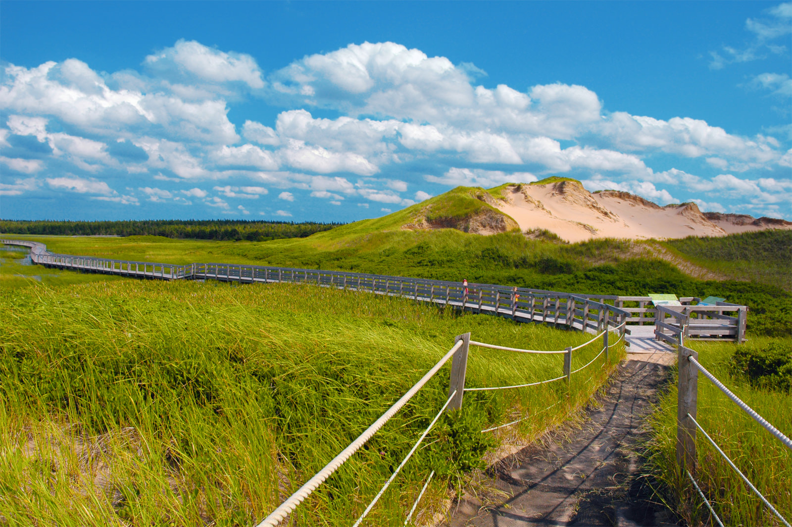An Ode to PEI’s Natural Beauty | Welcome PEI Local's blog