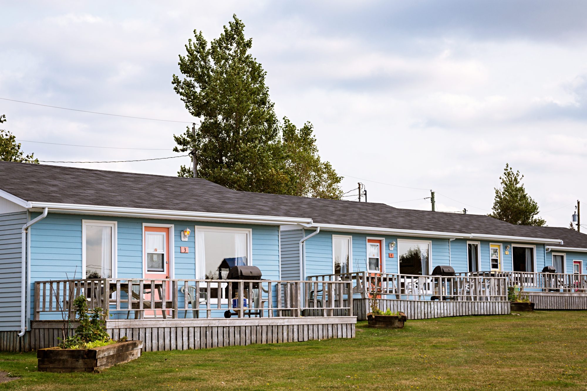 PEI’s Pet Friendly PEI Local's blog